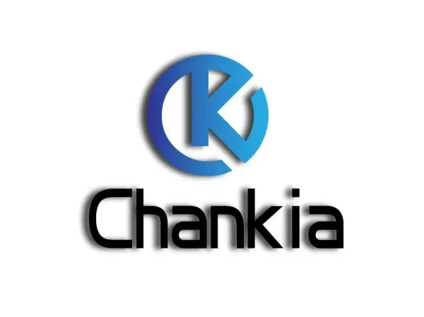 2024 New Arrival Professional 6L Oven Digital Electric Deep Fryers Kitchen Electrical Digital Control Reusable Air Fryer