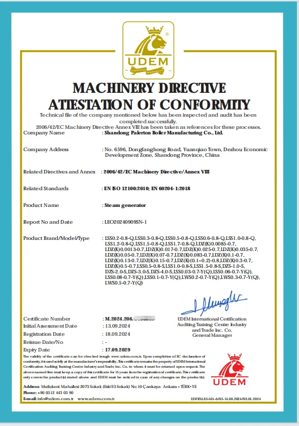 1 Ton 2 Ton 4 Ton  Industrial Gas Steam Boiler Machine