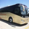 Buses Brand New Bus for Sale Bus Manufacturer 58seaters Hot Selling in Saudi Arabia