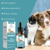 Daily Care Nutritional Supplement for Pets Supports Health and Well-being Eases Discomfort for Everyday Wellness Daily Care Nutritional Supplement for Pets Supports Health and Well-being Eases Discomfort for Everyday Wellness