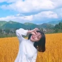 New Condition Durable Heavy Duty Cargo Trolley Mover Dolly 8T 16T 32Ton Adjustable Width Steering Material Handling Equipment