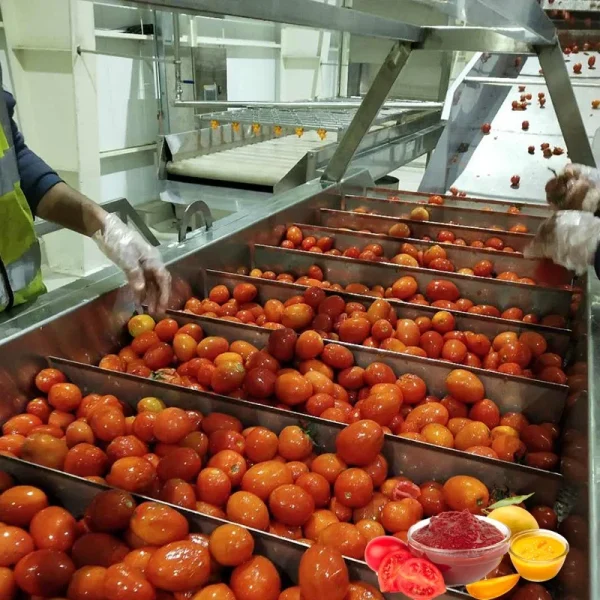Industrial Fruit Jam Making Tomato Paste Production Line Machine Processing Plant
