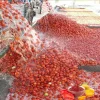 Industrial Fruit Jam Making Tomato Paste Production Line Machine Processing Plant