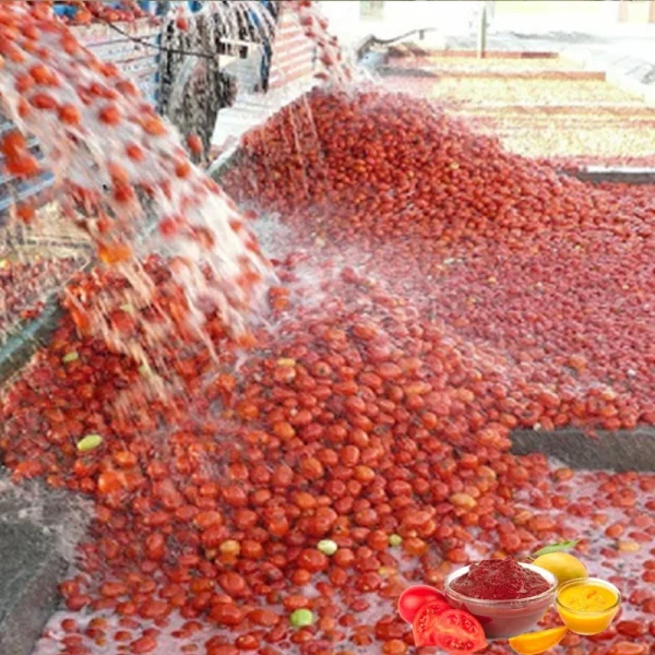 Industrial Fruit Jam Making Tomato Paste Production Line Machine Processing Plant
