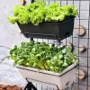 High Quality Large Square Plastic Indoor/Outdoor Flower Pots Home Decor Garden Planters Wholesale Large Outdoor Plant Pots