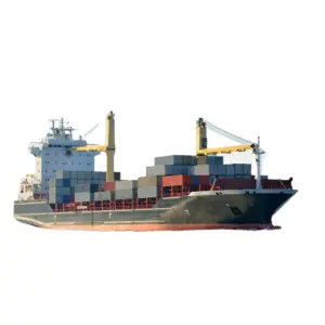 Cargo Shipping Sea Freight Logistics Forwarder DDP Service From China to Cameroon with Cheapest Rates Fast Time Warehouse