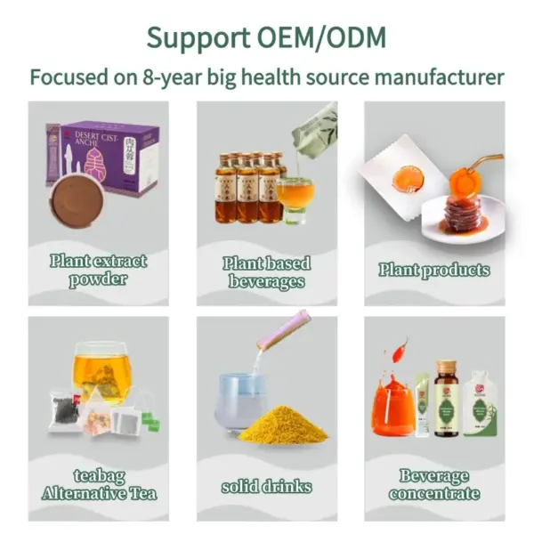 Food Grade American Ginseng Essence Drink 9.89% Ginsenosides Supplements Anti-Fatigue Herbal Extract with Active Saponins