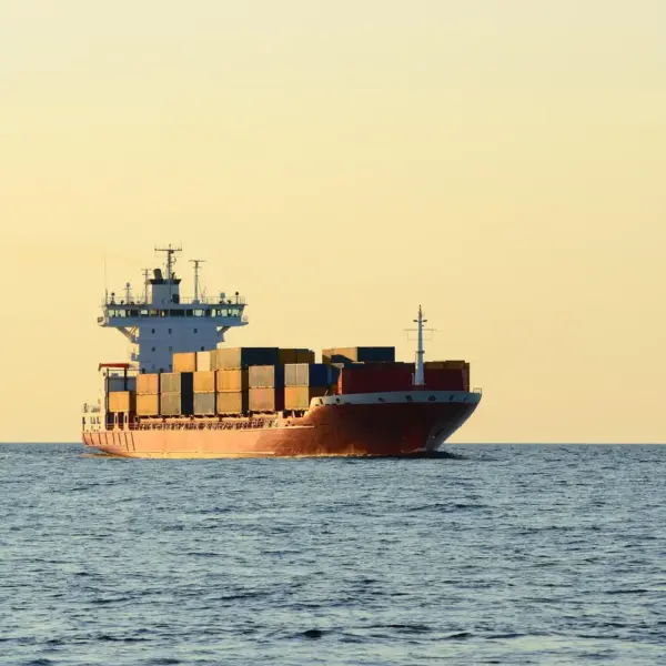 Cargo Shipping Sea Freight Logistics Forwarder DDP Service From China to Cameroon with Cheapest Rates Fast Time Warehouse