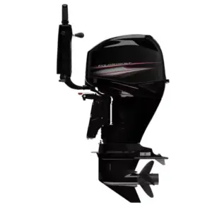 Brand New 4 Stroke 20hp Outboard Boat Motors Mercury 20 EFI Outboards Marine Motors