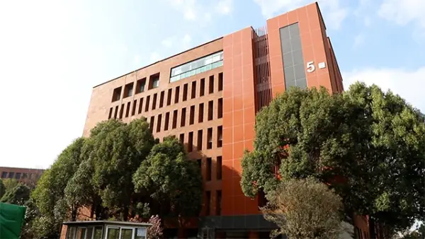 Food Grade American Ginseng Essence Drink 9.89% Ginsenosides Supplements Anti-Fatigue Herbal Extract with Active Saponins