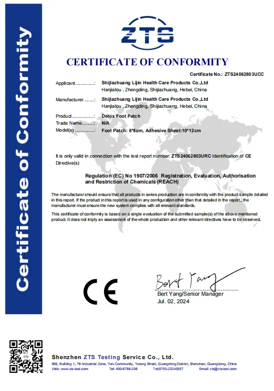 Most Selling Product in Alibaba2024 New Productsdetox Foot Patch Private Labeldetox Patch with Gingerphienix Care Detox