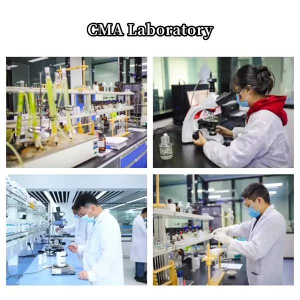 Astragalus Essence Drink with Active Ingredients Saponins Astragaloside Cycloastragenol From Membranaceus Root Extract