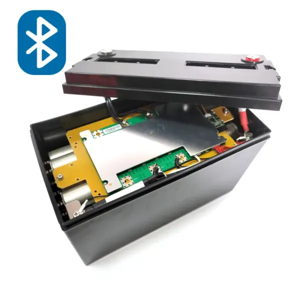 Customized 12.8V100Ah Lithium Iron Phosphate Battery with 5000 Cycles CE Certified for Recreational Vehicles