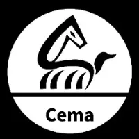 Cema Breathable Baby Mesh Sneakers for Boys Children's Sports Shoes Rotating Buckle Shock Absorption Air Cushioned Running