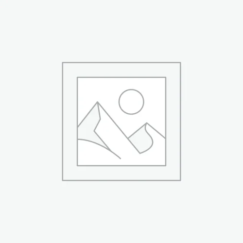 Auriculares Sony WH-1000XM4